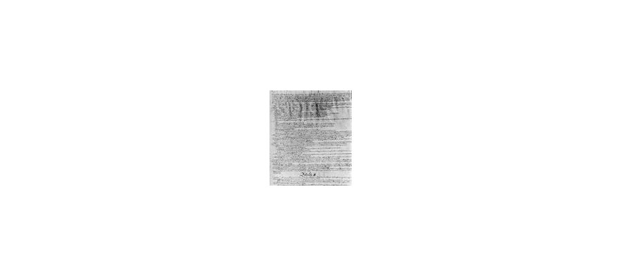 Image:Que pourrait être une constitution démocratique ?