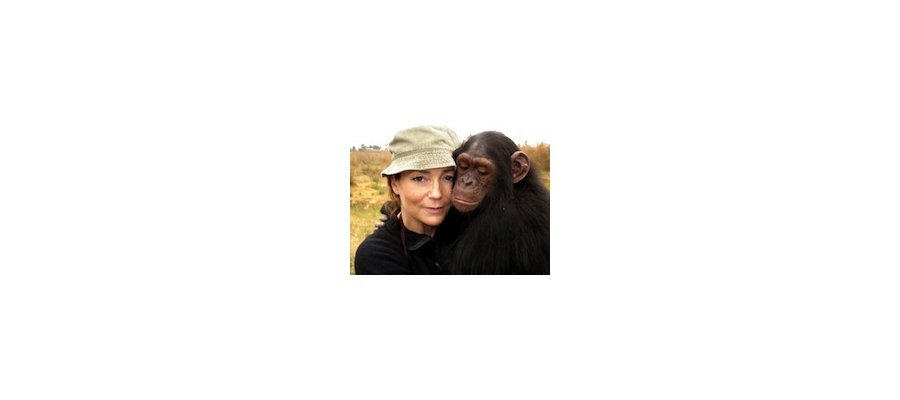 Image:Chris Herzfeld : « Petite histoire des grands singes »