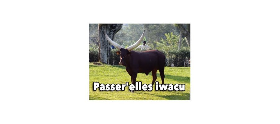 Image:Passer'Elles Iwacu : Rencontre avec les femmes rwandaises